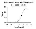 Pritumumab Recombinant Human Monoclonal Antibody