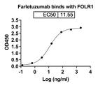 Farletuzumab Humanized Recombinant Human Monoclonal Antibody
