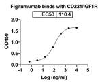 IGF1R (CD221) (Figitumumab Biosimilar) Recombinant Human Monoclonal Antibody