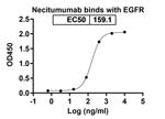 Necitumumab Antibody in ELISA (ELISA)