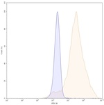 Necitumumab Recombinant Human Monoclonal Antibody