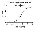 Siltuximab Chimeric Antibody in ELISA (ELISA)