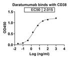 Daratumumab Recombinant Human Monoclonal Antibody