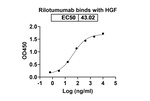 Rilotumumab Antibody in ELISA (ELISA)