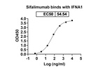 Sifalimumab Recombinant Human Monoclonal Antibody
