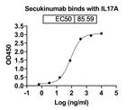 Secukinumab Antibody in ELISA (ELISA)