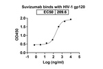 HIV1 gp120 (Suvizumab Biosimilar) Recombinant Humanized mouse Monoclonal Antibody