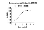 Glembatumumab Humanized Recombinant Human Monoclonal Antibody
