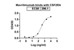 Mavrilimumab Recombinant Human Monoclonal Antibody