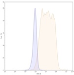 CCR4 (Mogamulizumab Biosimilar) Recombinant Humanized mouse Monoclonal Antibody