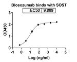 Blosozumab Humanized Recombinant Human Monoclonal Antibody