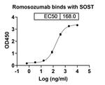 Sclerostin (Romosozumab Biosimilar) Recombinant Humanized mouse Monoclonal Antibody