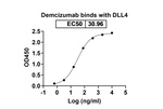 Demcizumab Humanized Recombinant Human Monoclonal Antibody