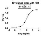 Nivolumab Recombinant Human Monoclonal Antibody