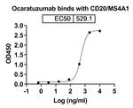 Ocaratuzumab Humanized Recombinant Human Monoclonal Antibody