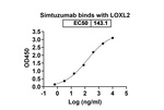 LOXL2 (Simtuzumab Biosimilar) Recombinant Humanized mouse Monoclonal Antibody