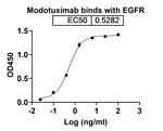 Modotuximab Chimeric Antibody in ELISA (ELISA)