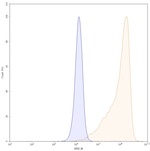 EGFR (Modotuximab Biosimilar) Antibody in Flow Cytometry (Flow)