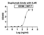 Dupilumab Recombinant Human Monoclonal Antibody