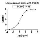 Lodelcizumab Humanized Recombinant Human Monoclonal Antibody