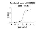 Tarextumab Recombinant Human Monoclonal Antibody