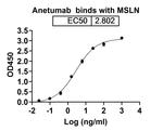 Anetumab Antibody in ELISA (ELISA)