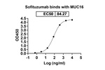 CA125 (Sofituzumab Biosimilar) Recombinant Humanized mouse Monoclonal Antibody