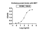 Emibetuzumab Humanized Recombinant Human Monoclonal Antibody