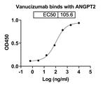 Vanucizumab Humanized Recombinant Human Monoclonal Antibody