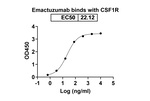 Emactuzumab Humanized Recombinant Human Monoclonal Antibody