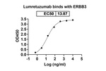 Lumretuzumab Humanized Recombinant Human Monoclonal Antibody
