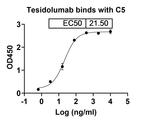 Tesidolumab Antibody in ELISA (ELISA)