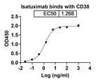 Isatuximab Chimeric Recombinant Human Monoclonal Antibody