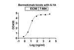 Bermekimab Humanized Recombinant Human Monoclonal Antibody