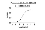 Pepinemab Chimeric Recombinant Human Monoclonal Antibody