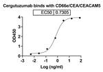 CD66e (CEACAM5) (Cergutuzumab Biosimilar) Recombinant Humanized mouse Monoclonal Antibody