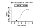Bleselumab Recombinant Human Monoclonal Antibody
