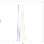 Ifabotuzumab Humanized Recombinant Human Monoclonal Antibody