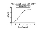 Tilavonemab Chimeric Recombinant Human Monoclonal Antibody