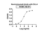 Navicixizumab Chimeric Recombinant Human Monoclonal Antibody