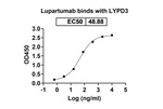 Lupartumab Recombinant Human Monoclonal Antibody