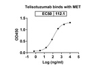 Telisotuzumab Humanized Antibody in ELISA (ELISA)