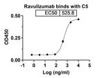 Ravulizumab Humanized Recombinant Human Monoclonal Antibody