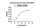Losatuxizumab Chimeric Recombinant Human Monoclonal Antibody
