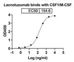 Lacnotuzumab Humanized Recombinant Human Monoclonal Antibody