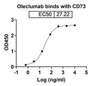 CD73 (Oleclumab Biosimilar) Recombinant Human Monoclonal Antibody