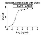Tomuzotuximab Chimeric Recombinant Human Monoclonal Antibody