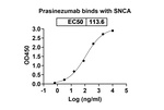 Prasinezumab Humanized Recombinant Human Monoclonal Antibody