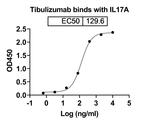 Tibulizumab Humanized Antibody in ELISA (ELISA)