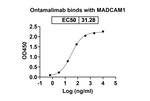 MAdCAM-1 (Ontamalimab Biosimilar) Recombinant Human Monoclonal Antibody